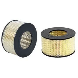 WIX WA10346 | Air Filter