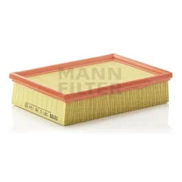 Mann-Filter C 25 114 | Air Filter
