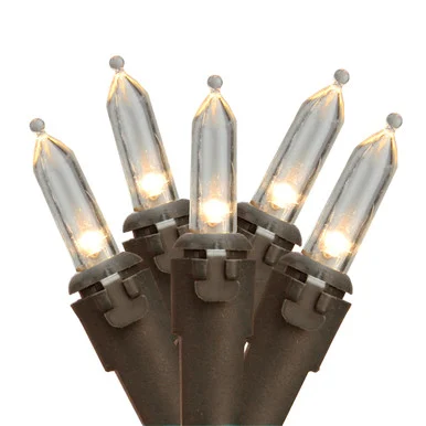 50 Count Warm Clear LED Mini Christmas Lights, 16.25 ft Brown Wire