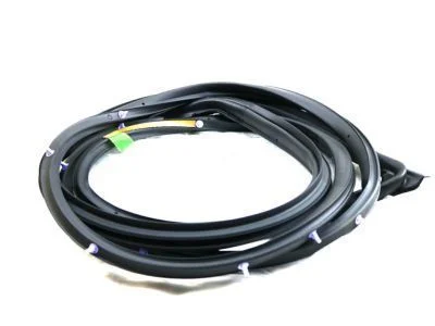 Toyota 67861-60101 Front Door Weatherstrip Right Hand