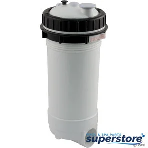 788379707682 Pentair/Rainbow Cartridge Filter, Pentair Rainbow RTC-25, Top Load, 2″s R172502J