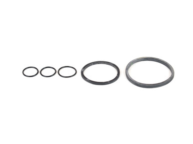 Canton O-Ring Kit For 22-595 98-004