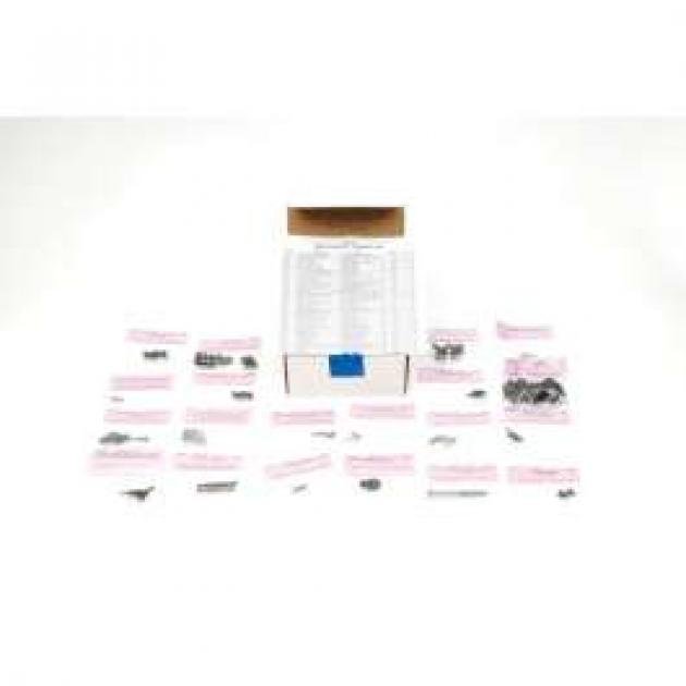 Camaro Master Interior Screw Kit, Deluxe, Convertible, 1967