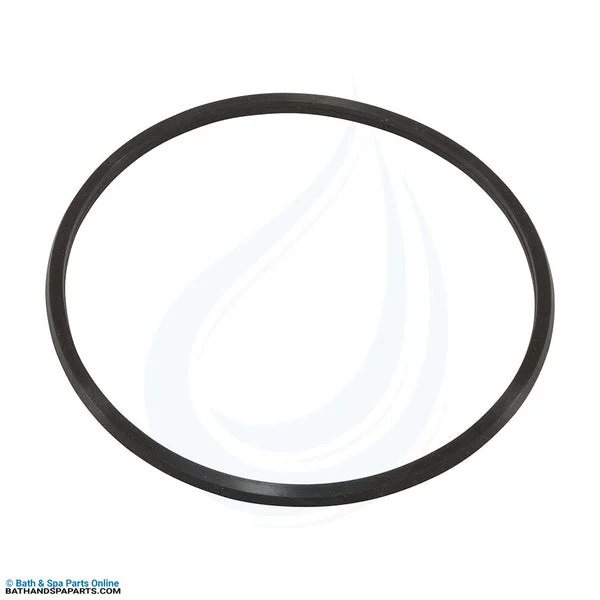AquaPro AL75 Trap Lid O-Ring (10062-ACC)