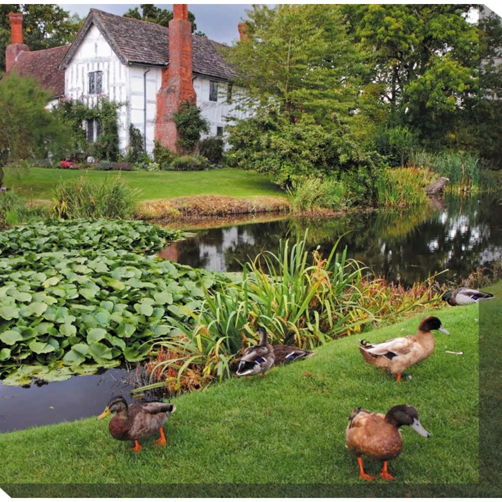 Green and Brown Duck Manor Outdoor Canvas Square Wall Art Decor 24″ x 24″