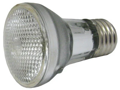 Hayward Reflector Flood | SPX551-Z-4